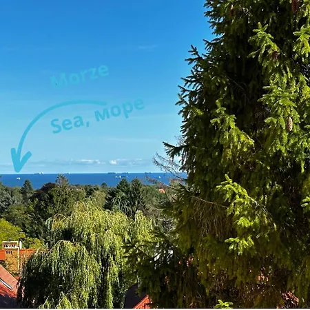 Balance - 5 Minutes To Molo & Seaside